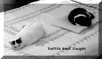 Dottie and Sugar.jpg (11334 bytes)