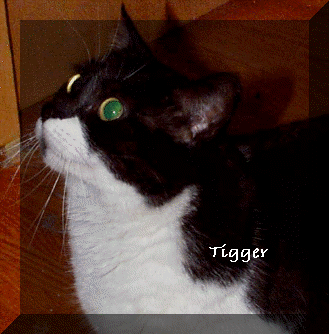 Tigger.jpg (62981 bytes)