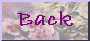 bammers_htm_txt_purplekitblank.gif (4599 bytes)