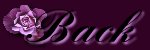 purplerose_back.jpg (2654 bytes)